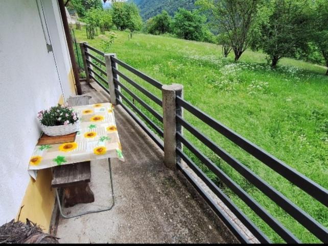 Apartma Nadiza Borjana107 Bagian luar foto