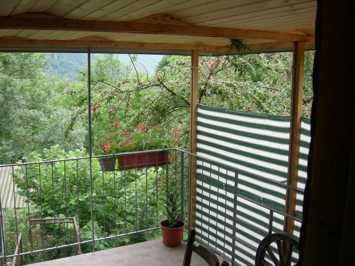 Apartma Nadiza Borjana107 Bagian luar foto