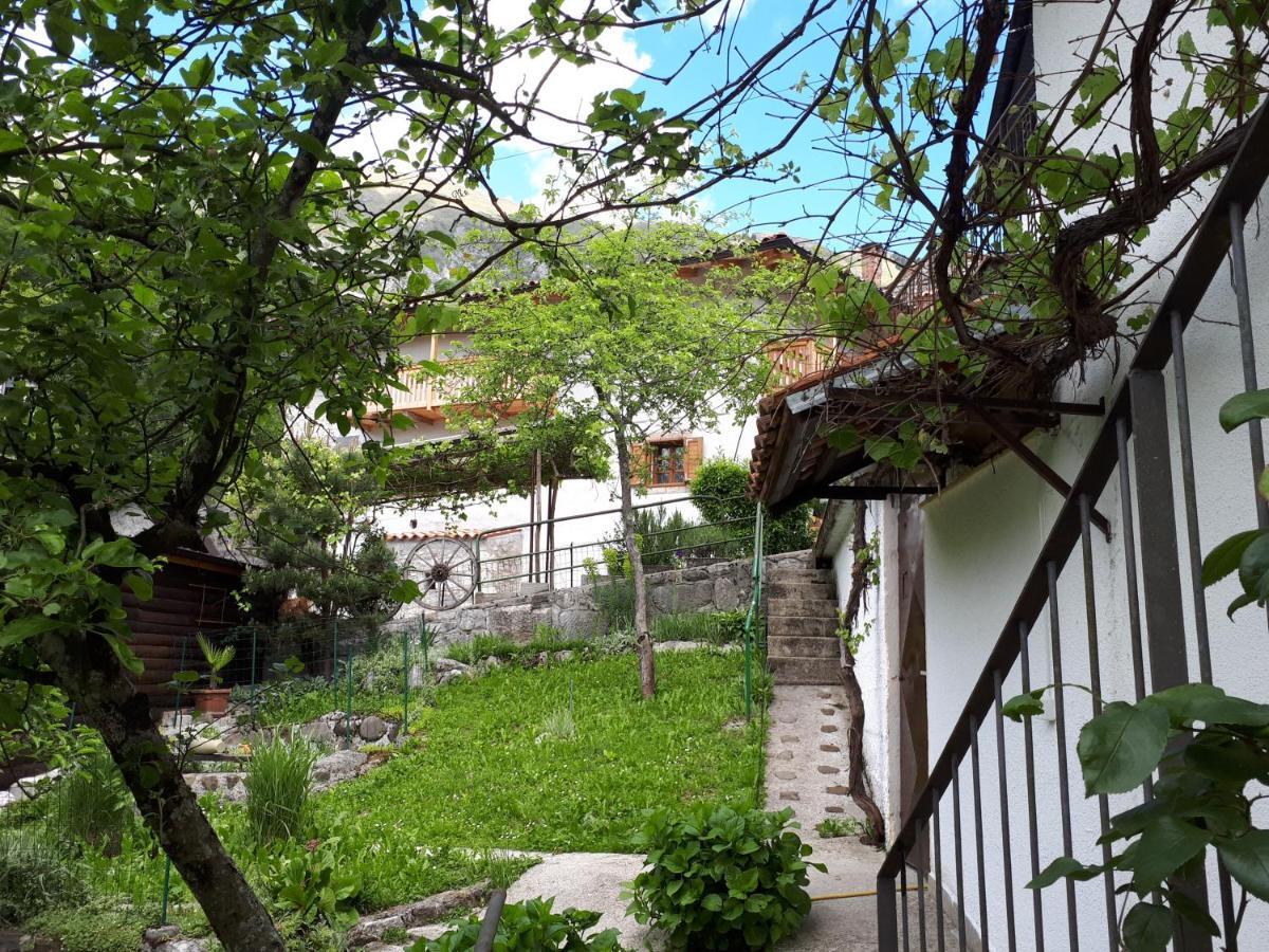 Apartma Nadiza Borjana107 Bagian luar foto